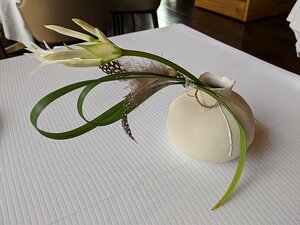 20200125_IMG123547_Pixel3a-JEB